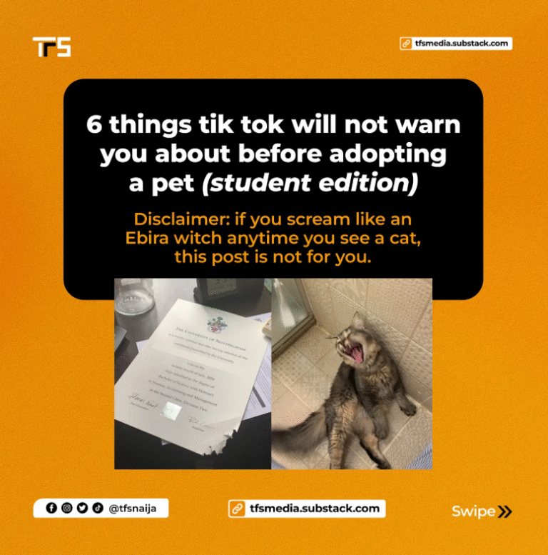 6 Things To Know Before You Adopt A Pet (Student Edition)